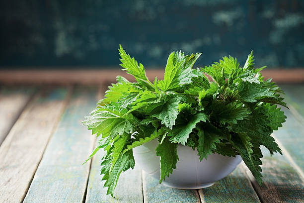 giovane ortica o urtica foglie, stile rustico - stinging nettle foto e immagini stock