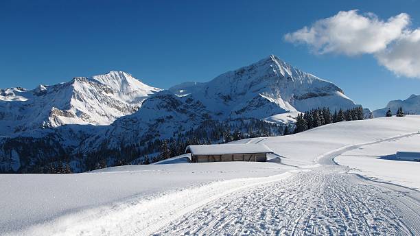 wildhorn y spitzhorn en invierno - wildhorn fotografías e imágenes de stock