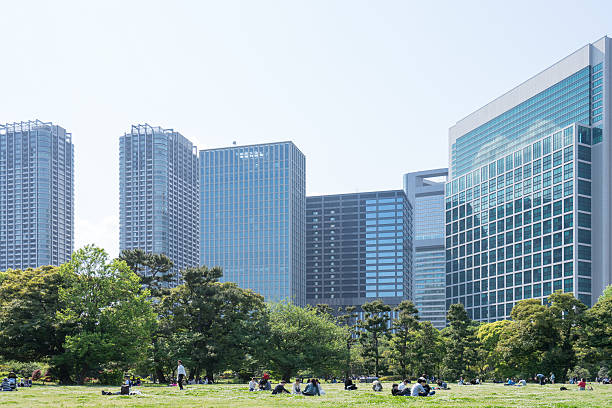 istock People who go on a picnic in a park 529068150
