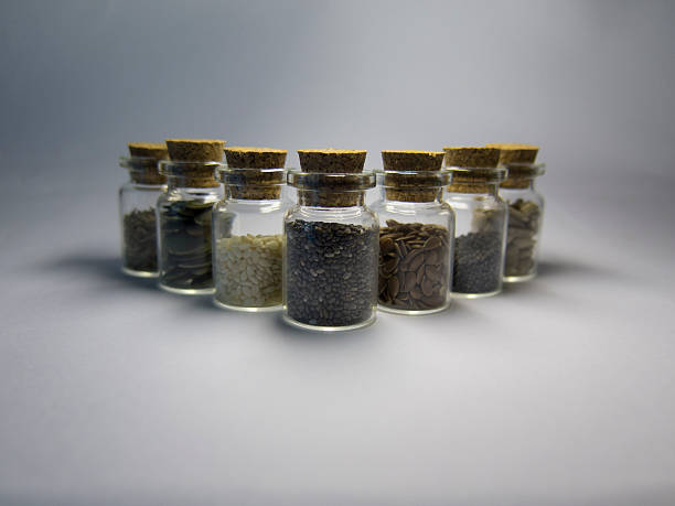 istock Super food in small jars, condiments useful 529068284