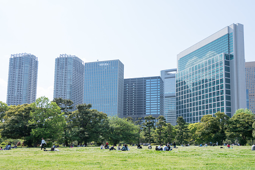 It is the photograph of people going on a picnic in an urban park