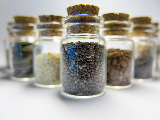 istock Chia in a jar, and other useful grains 529068734