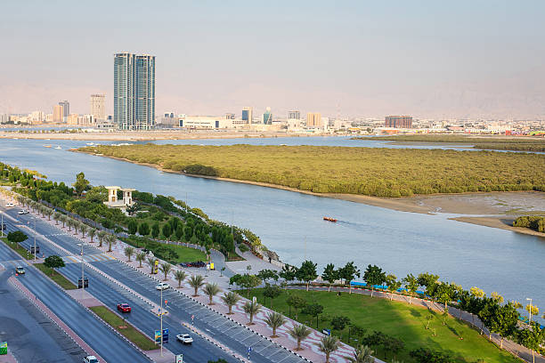 Mangroves in Ras Al Khaimah UAE