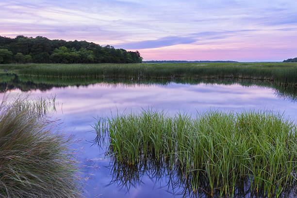 reflectivo carolina del sur, lowcountry marsh escena del atardecer cuenca de la ace - estero zona húmeda fotografías e imágenes de stock