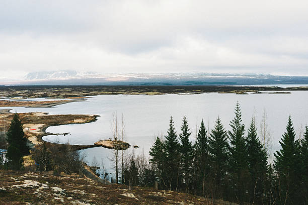 Forest, lakes and mountains in Iceland 