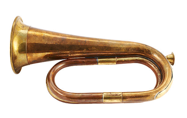 istock Trumpet musical instrument isolated 529070114