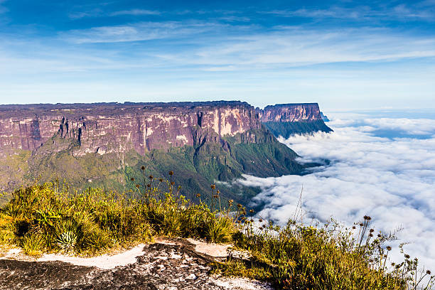View from the plateau Roraima to Gran Sabana region View from the Roraima tepui on Kukenan tepui at the fog - Venezuela, Latin America table ledge stock pictures, royalty-free photos & images