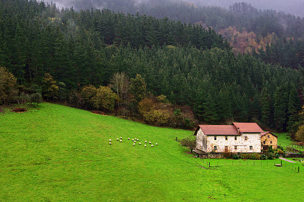 Farm with sheep in Atxondo, Basque Country