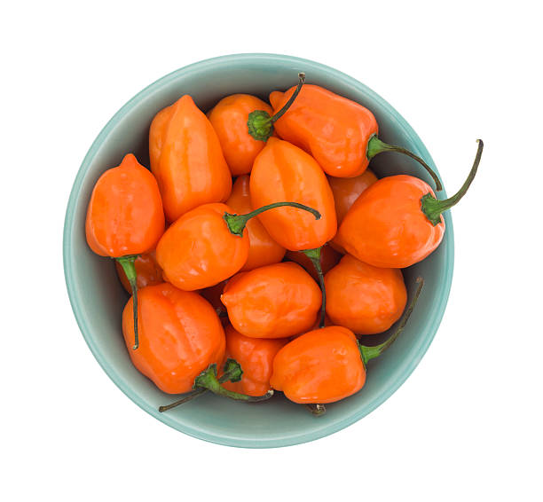 istock Orange habanero peppers in a bowl 529071750