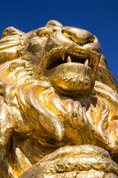 istock gold  lion statues  on blue isolated 529072827