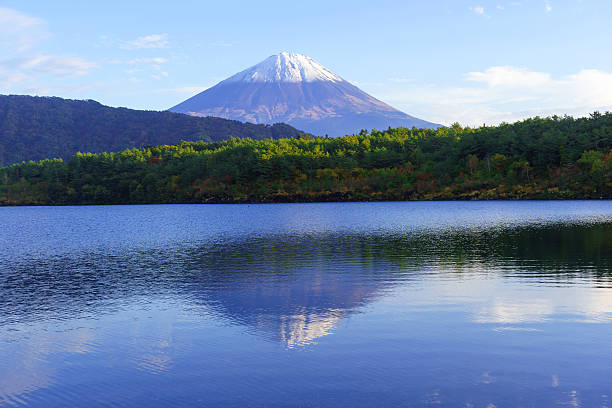 Mount Fuji with Lake Saiko in Autumn, Yamanashi Mt. Fuji and Nishiko (Yamanashi Prefecture) photographed in autumn west lake stock pictures, royalty-free photos & images