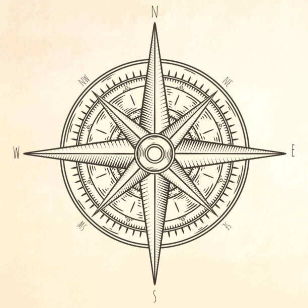 illustrazioni stock, clip art, cartoni animati e icone di tendenza di illustrazione vento rosa disegnato a mano libera. - compass compass rose north direction