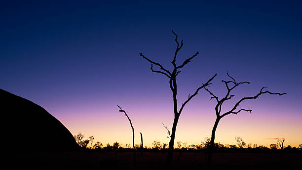 silhouettes d'uluru - uluru australia northern territory sunrise photos et images de collection