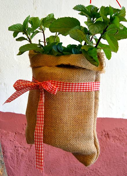 istock Linen bag brunette with a ribbon. 529075354