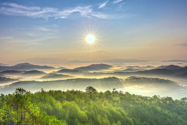 Sunrise over hill Sunrise over hill with the sun radiating golden rays pierced the hills with pine trees covered with morning dew beautiful ray beam forming to welcome the new day so simple in Dalat, Vietnam central highlands vietnam photos stock pictures, royalty-free photos & images