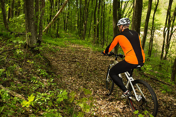 istock Cyclist Riding the Bike in Beautiful Spring Forest 529075928