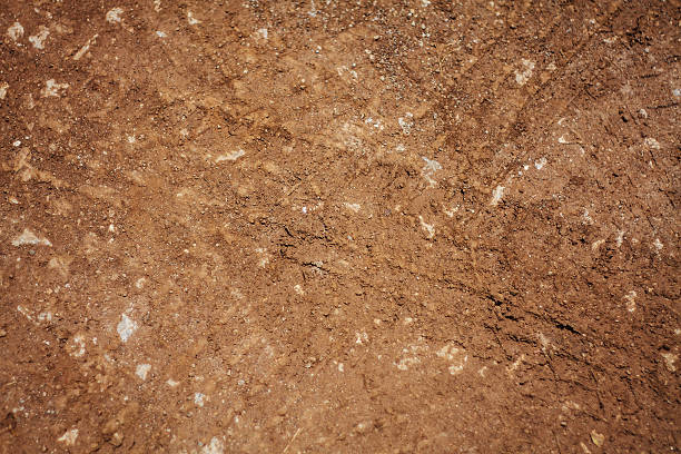 istock Texture of wheel track on country road 529078178