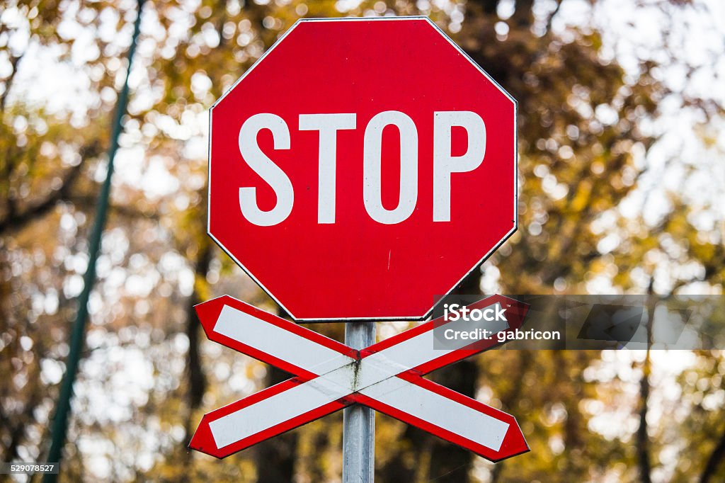 red stop sign with crossing sign red stop sign with crossing sign in a forrest Cross Shape Stock Photo