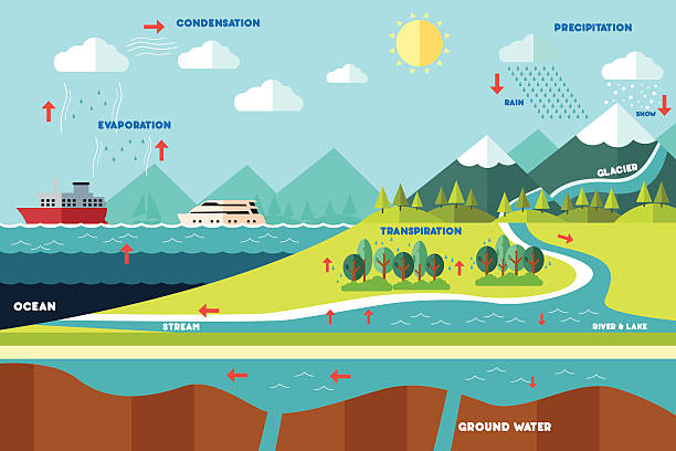 Water cycle illustration vector art illustration