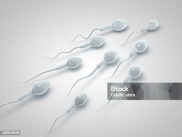 3d Illustration Of The Sperm Swimming To The Ovule Stock Photo - Download Image Now