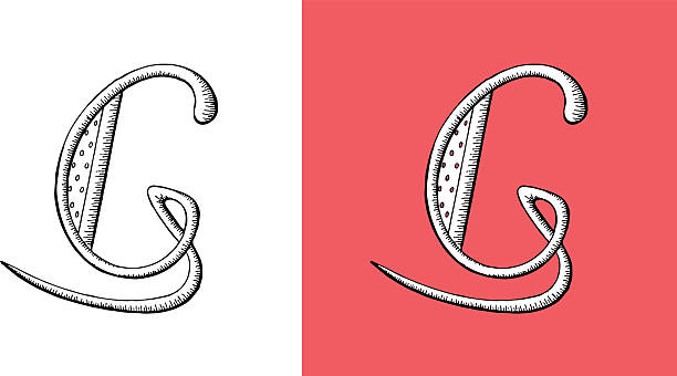 G, Letter, Alphabet, Type, Retro Return, Drop cap, monogram vector art illustration