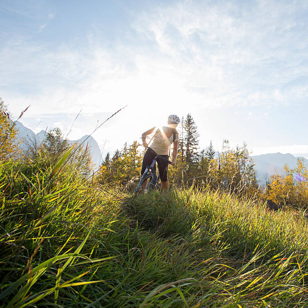 istock Biking woman pauses in mountain meadow, smiling 529079351