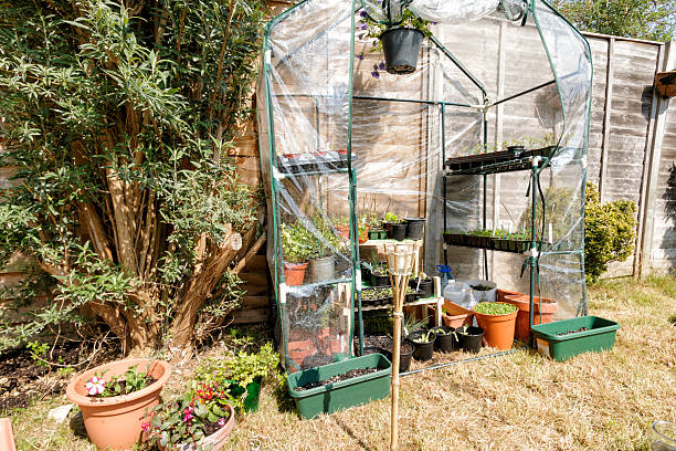 A green house full of flowers,herbs and plants. Greenhouse in the garden