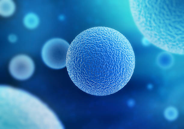 bleu microorganism - virus laboratory biotechnology cell photos et images de collection