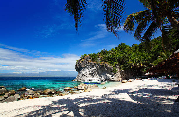 Beach White sandy beach and palm trees in a blue tropical lagoon. Apo island, Philippines apo island stock pictures, royalty-free photos & images