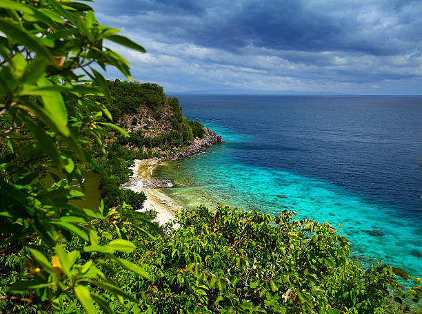 apo риф природный парк - apo island стоковые фото и изображения