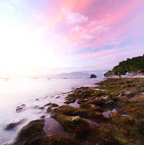 apo - apo island ストックフォトと画像