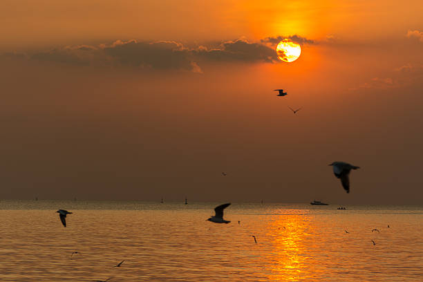 istock Sunset at Bangpu Recreation Center 529096603