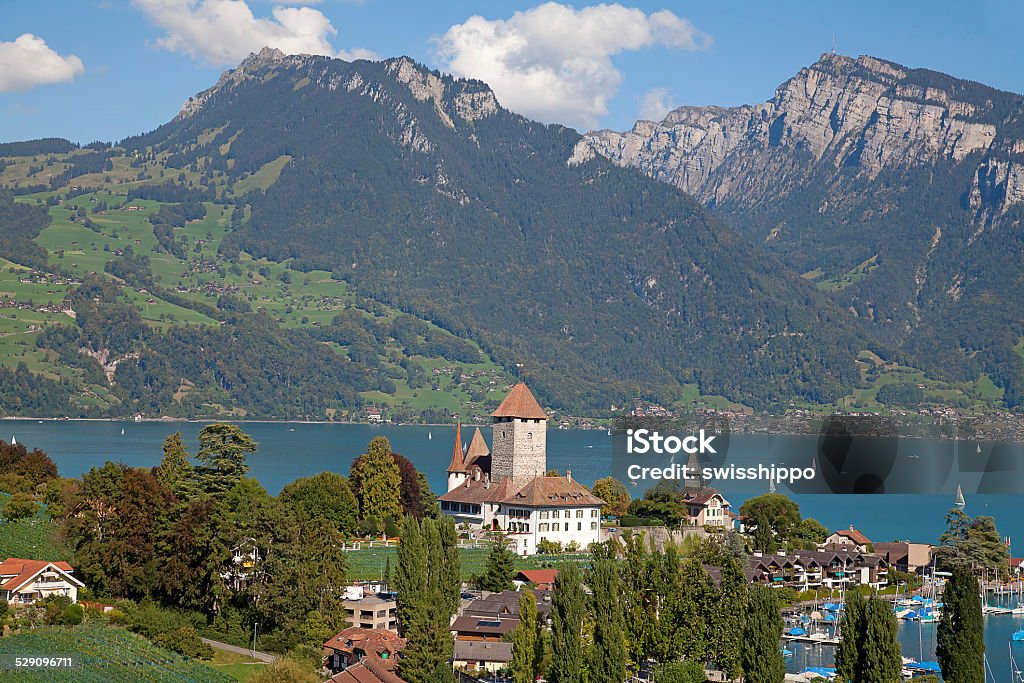 Spiez Castle Spiez castle on lake Thun (Jungfrau region, canton Bern, Switzerland) Architecture Stock Photo