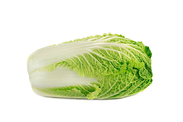 istock close up of napa cabbage isolated over white 529096959
