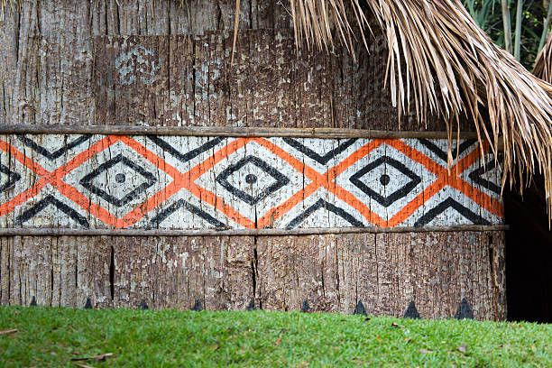 istock Indian Hut in Brasil. 529099037