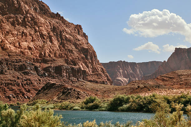istock Magnificent Colorado River  in the steep banks 529099695