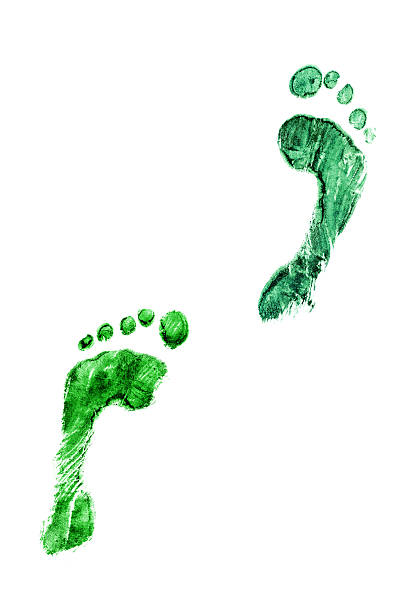 istock Pair of green footprints 529102135