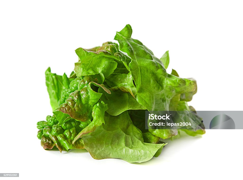 Ragged lettuce salad leaf Ragged curly lettuce salad closeup isolated on white Cut Out Stock Photo