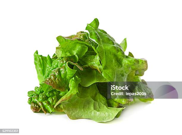 Ragged Lettuce Salad Leaf Stock Photo - Download Image Now - Cut Out, Food and Drink, Freshness