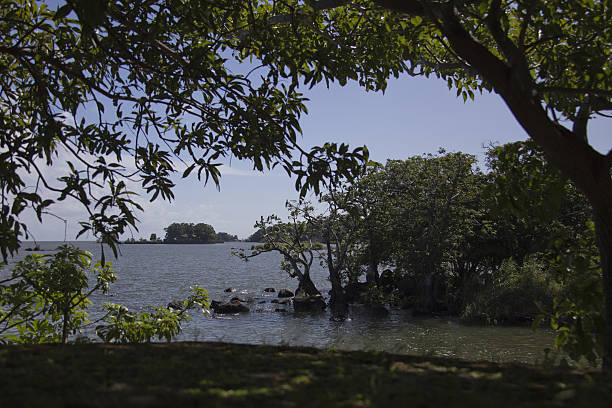 Mangrove forest, island on Bonaire