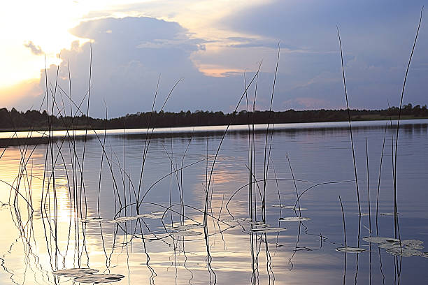 istock sunset on the lake red summer landscape 529103075
