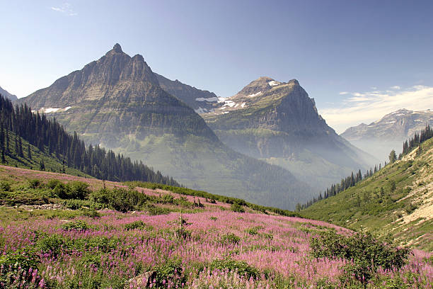 istock Glacier National Park Mountains in the Morning 529112667