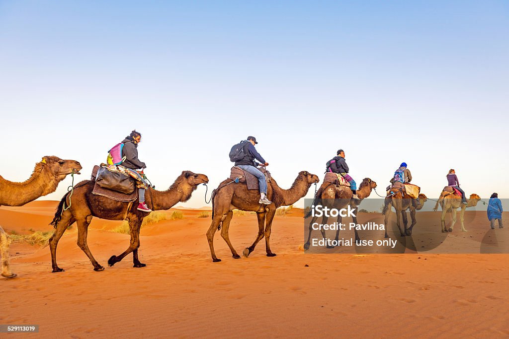 Camel Trekking, Erg Chebbi Sand Dune at Sunrise, Morocco, Africa Erg Chebbi, Morocco - April 7th, 2014: Camel trekking on Erg Chebbi sand dunes near Merzouga city in the morning, Northern Africa. Camel Stock Photo