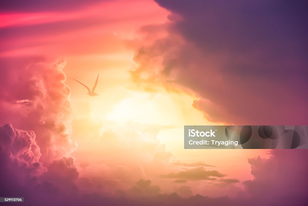 Colorful clouds on the dramatic sunset sky Colorful clouds on the dramatic sunset sky, Color toned image,Dramatic sunset sky with colorful clouds. Sky Stock Photo