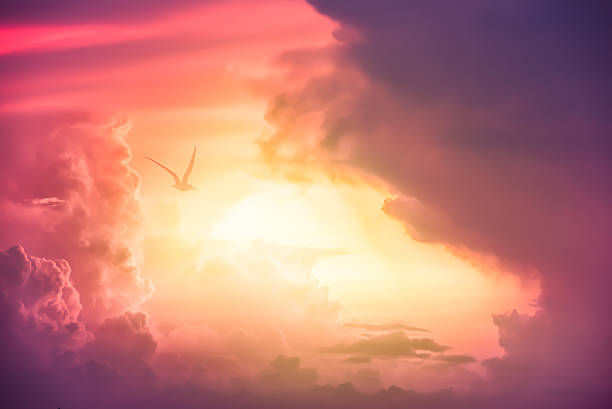 Colorful clouds on the dramatic sunset sky Colorful clouds on the dramatic sunset sky, Color toned image,Dramatic sunset sky with colorful clouds. spectacular view stock pictures, royalty-free photos & images