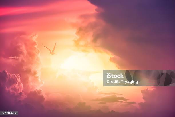 Colorful Clouds On The Dramatic Sunset Sky Stock Photo - Download Image Now - Sky, Spirituality, Cloud - Sky