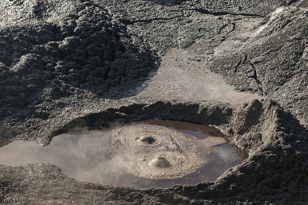 istock bubbling mud in Rotorua 529114653
