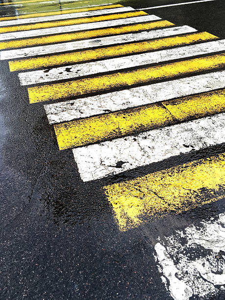 istock zebra on dark wet asphalt road 529114692