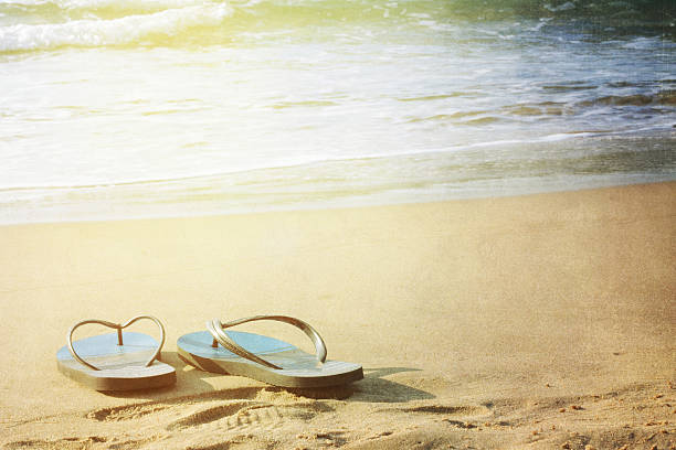 istock Summer vacation concept. Flip flops on a sandy ocean beach 529115490