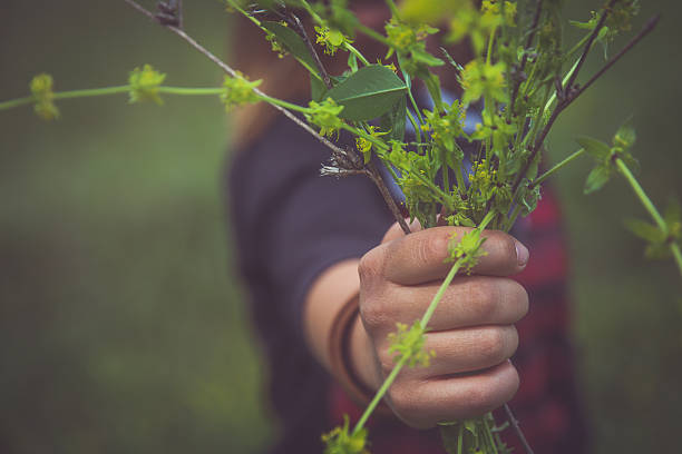 istock Girl picking wildflowers 529115618
